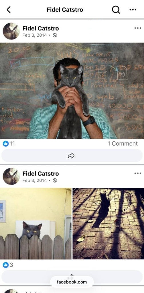 Instagram Proof
